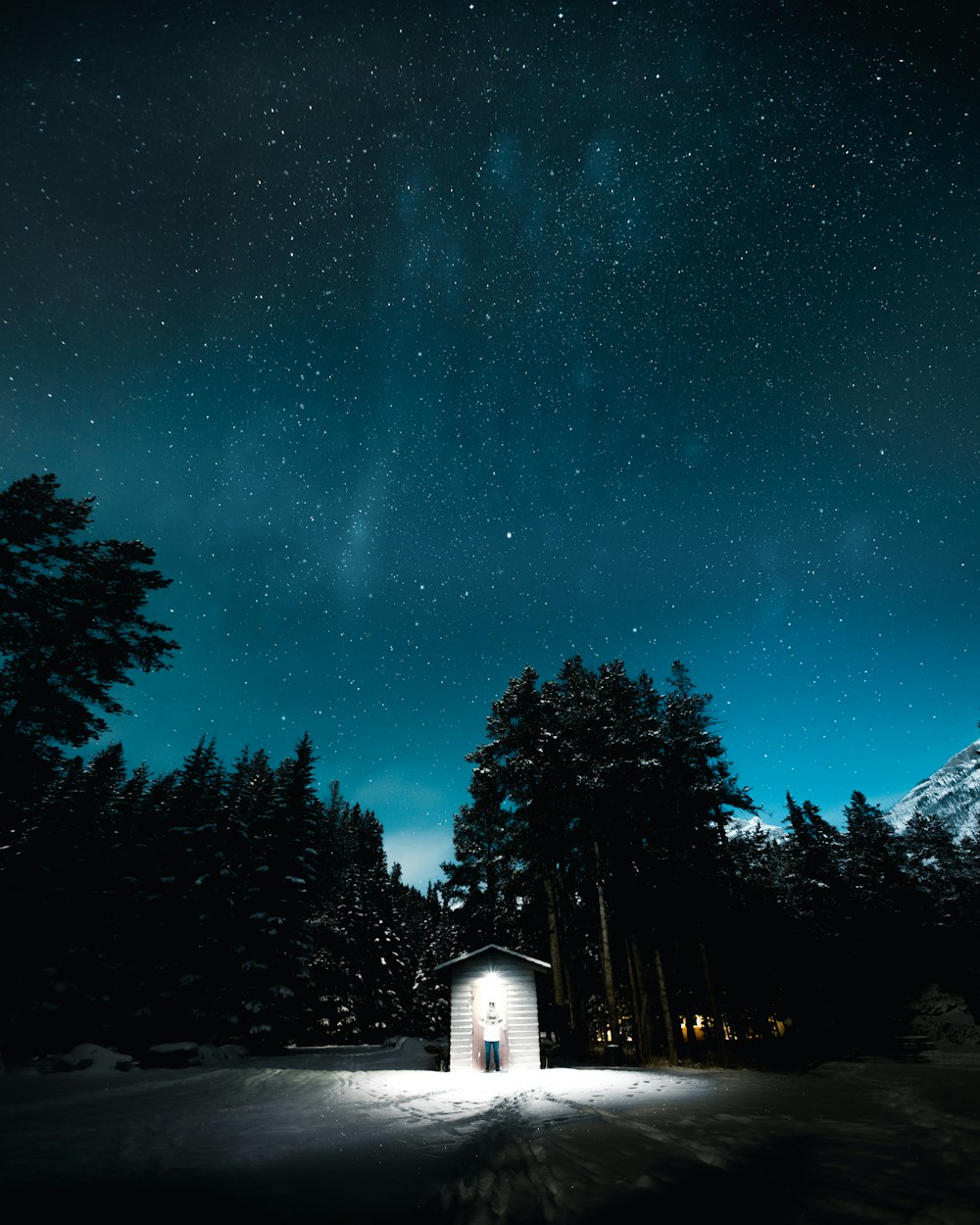 man standing beside shed