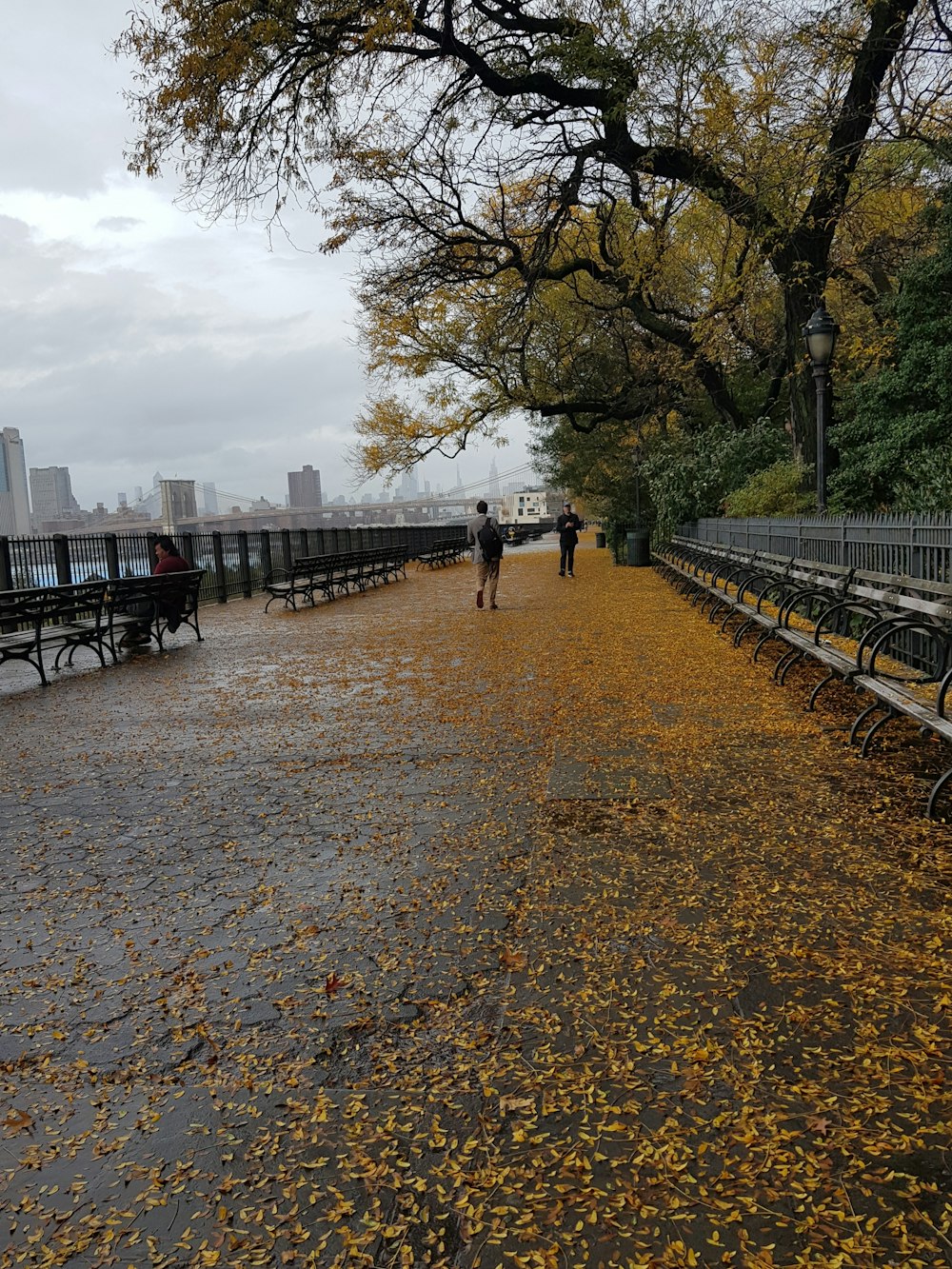 people walking near empty benches during daytime