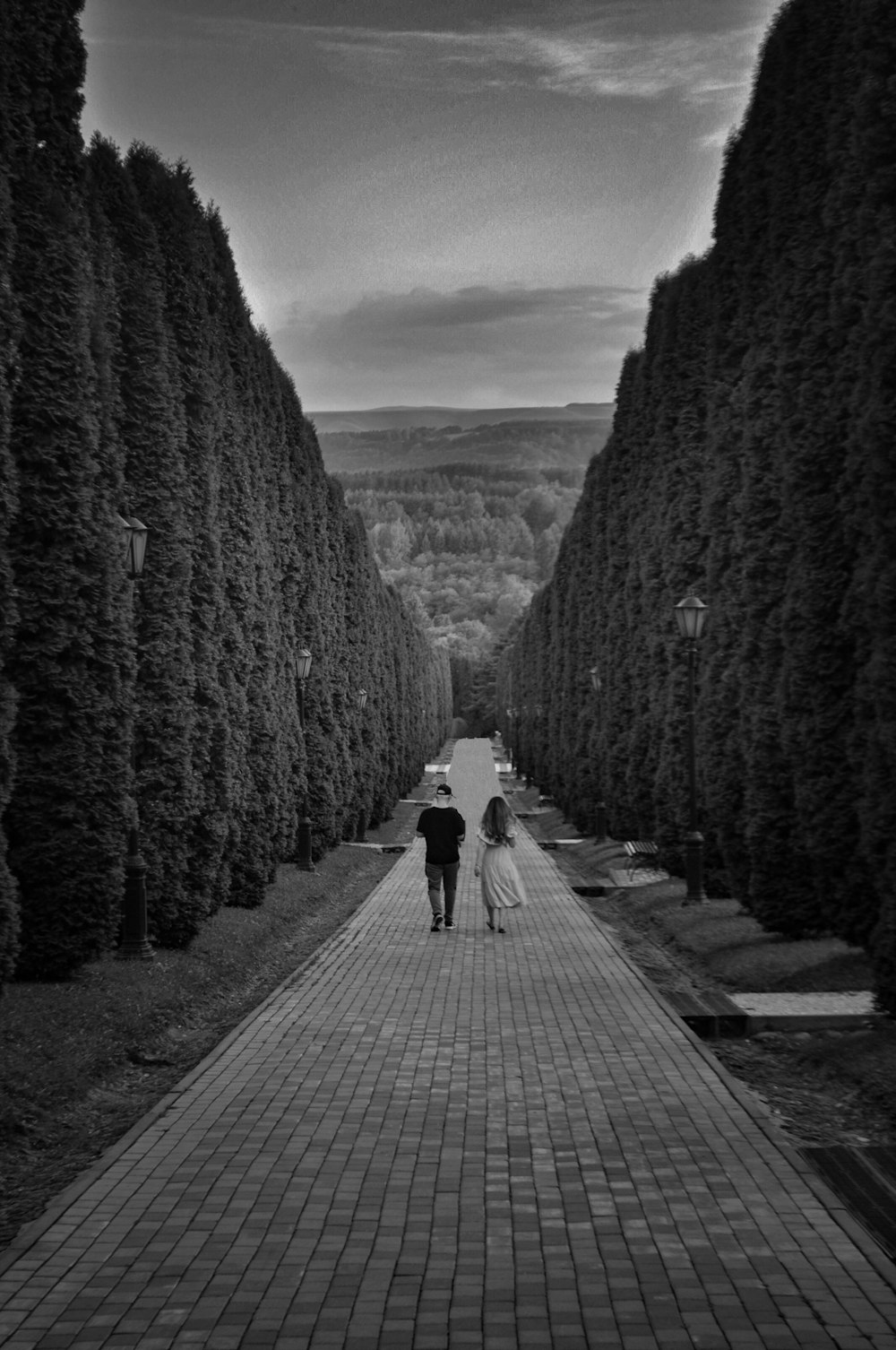 grayscale photography of man and woman walking on pathway between tall trees