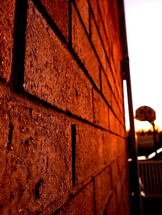 Photo 1573436891222 56ea3ba4ef8c?q=85&w=584&h=438&fit=crop