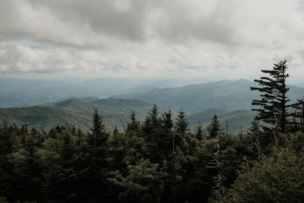 Photographie aérienne d’arbres verts et de montagne par ciel nuageux