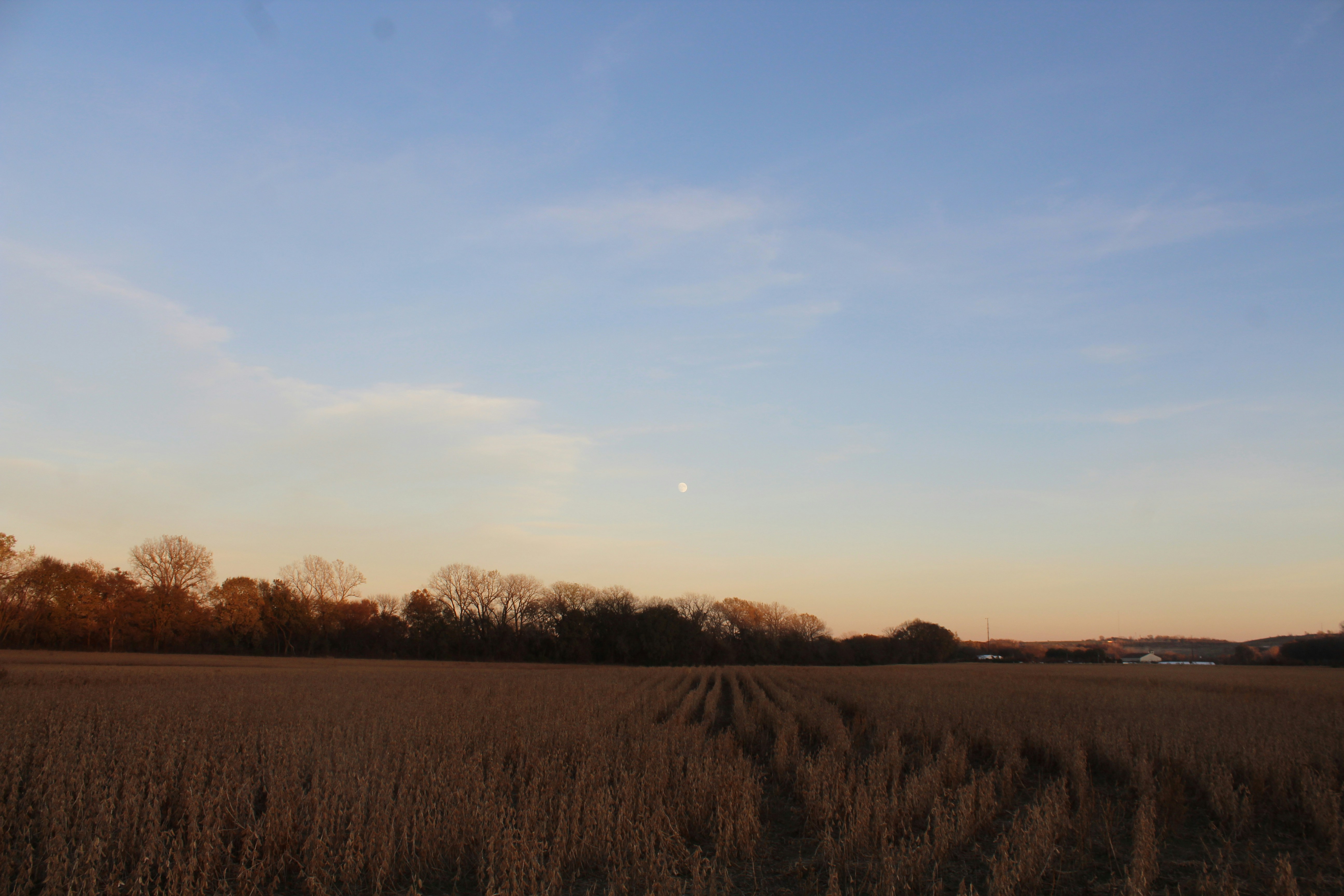 Photo by stevencurto