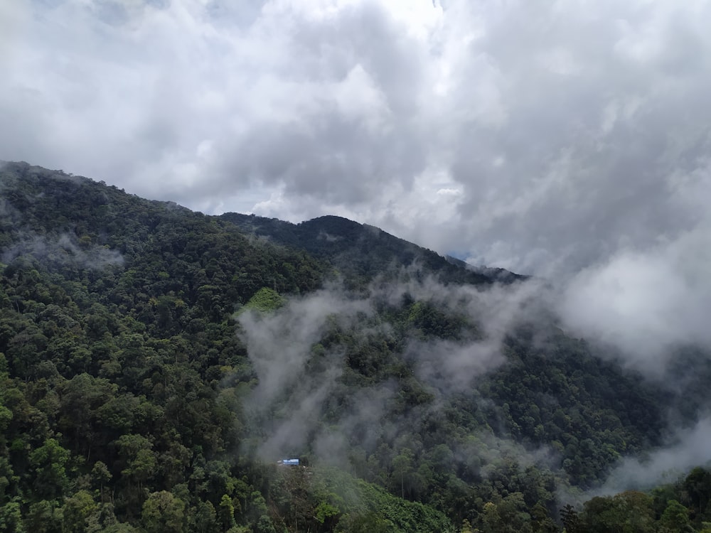 green trees on mountain under white clouds