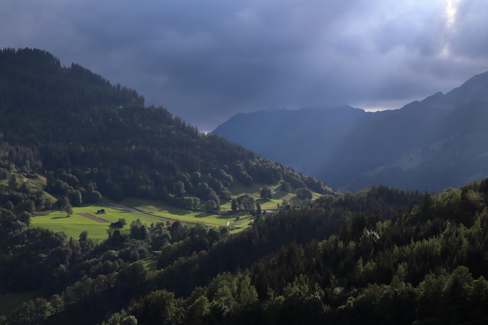 green trees on mountain under gray clouds