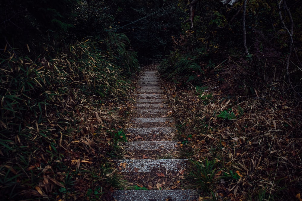 shallow focus photo of stairs