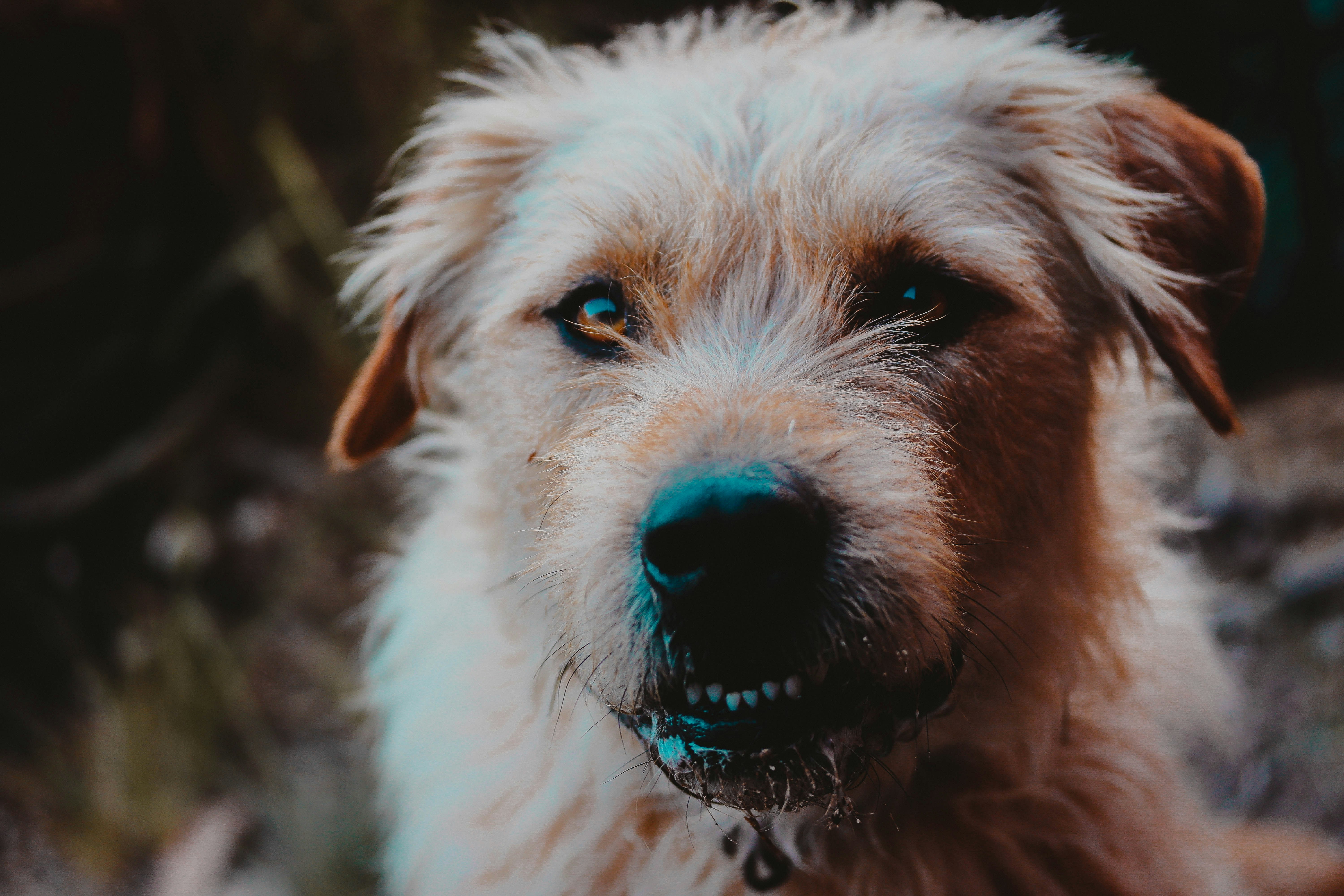 Photo by _jacob_spencer_