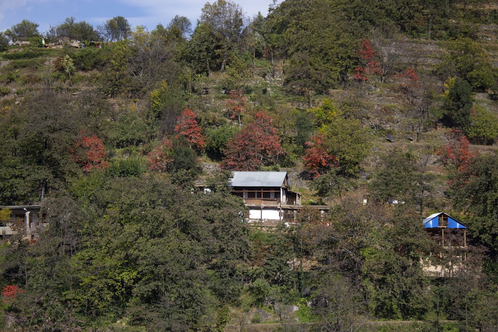 house surrounded by trees