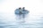 A ferry with a white body and colorful stripes sails on a calm, expansive ocean with clear skies. The vessel has multiple decks and appears to be carrying numerous passengers. The water is a light blue, reflecting the bright sunlight that creates a serene and peaceful atmosphere.