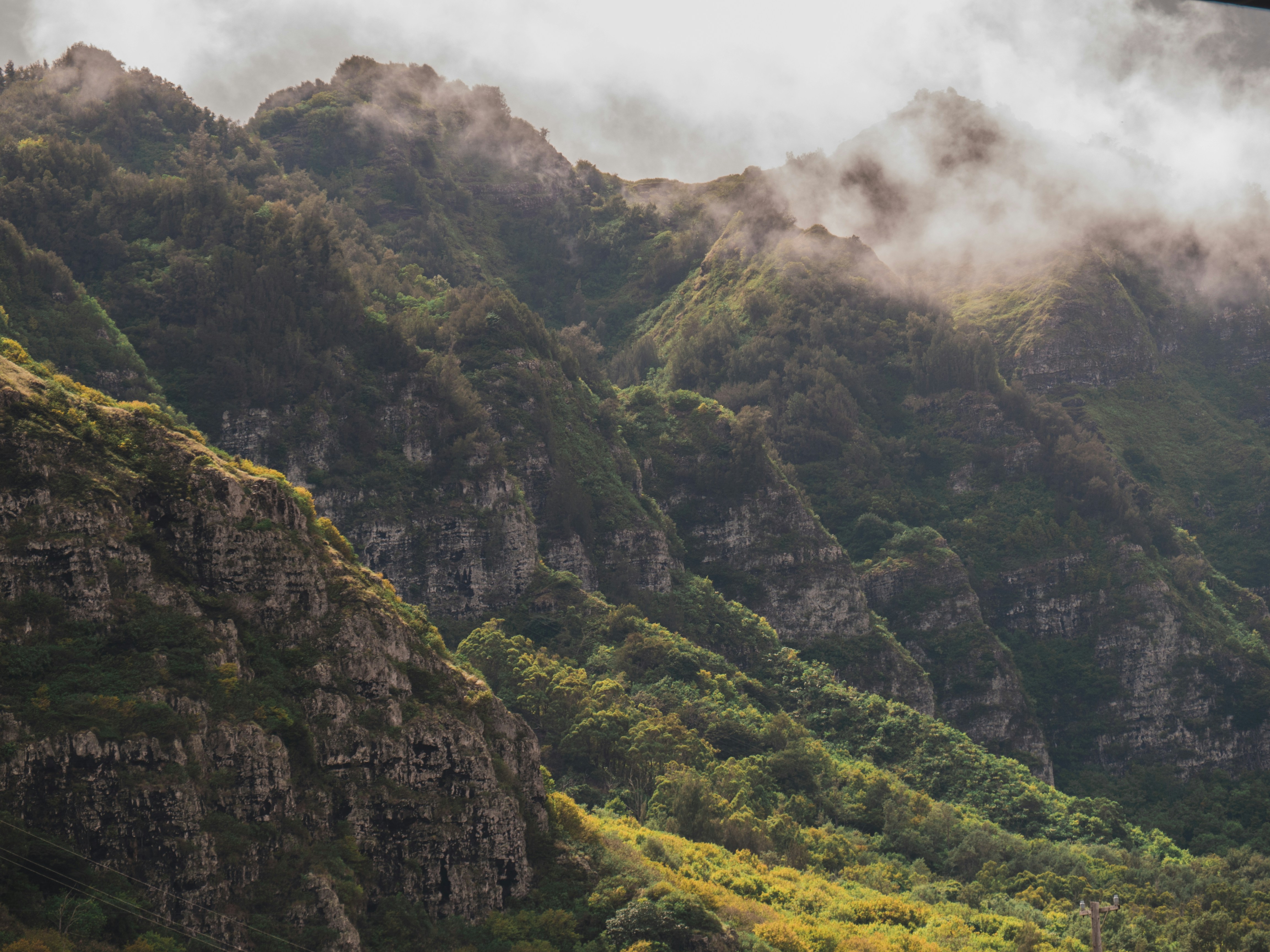 Photo by jorisvisser