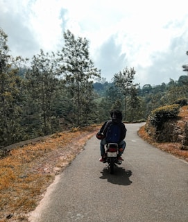 A biker cruising along a winding mountain road with lush greenery.