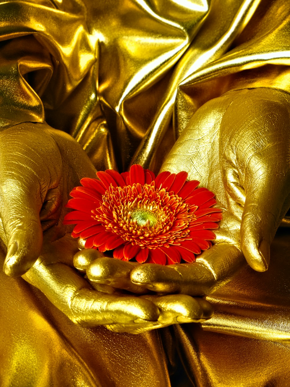 selective focus photography of person painted hands holding red flower