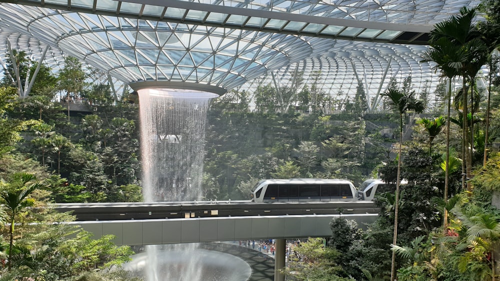 Sunflower Garden at Changi Airport