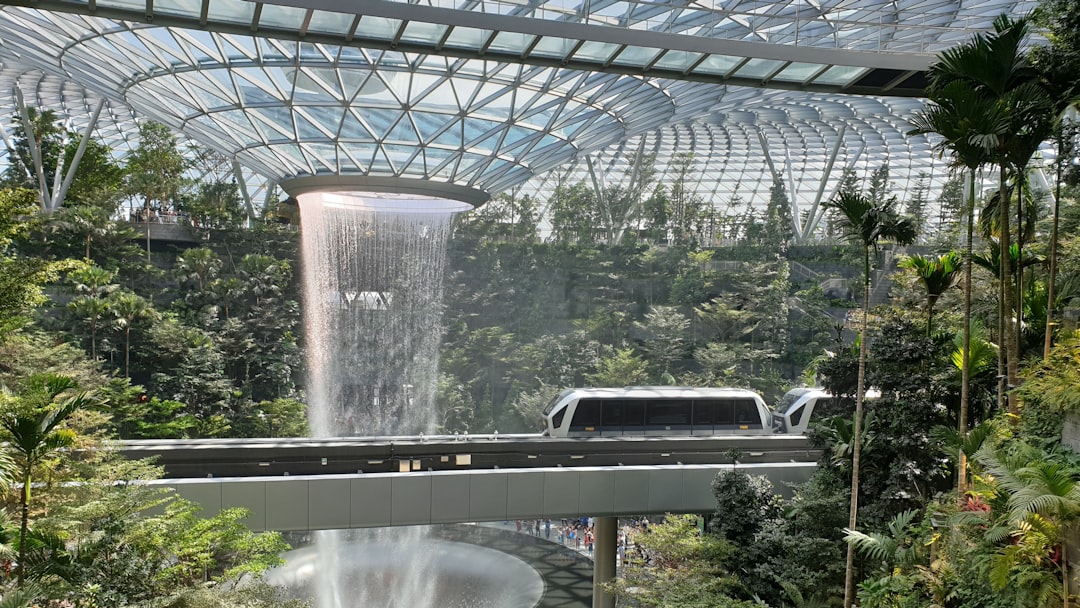 Sunflower Garden at Changi Airport, Jewel Changi Vortex and Train
