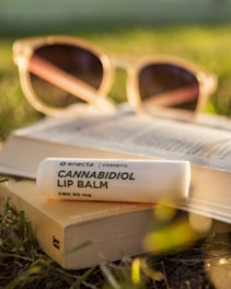 Cannabidiol lip balm on book on grass during daytime