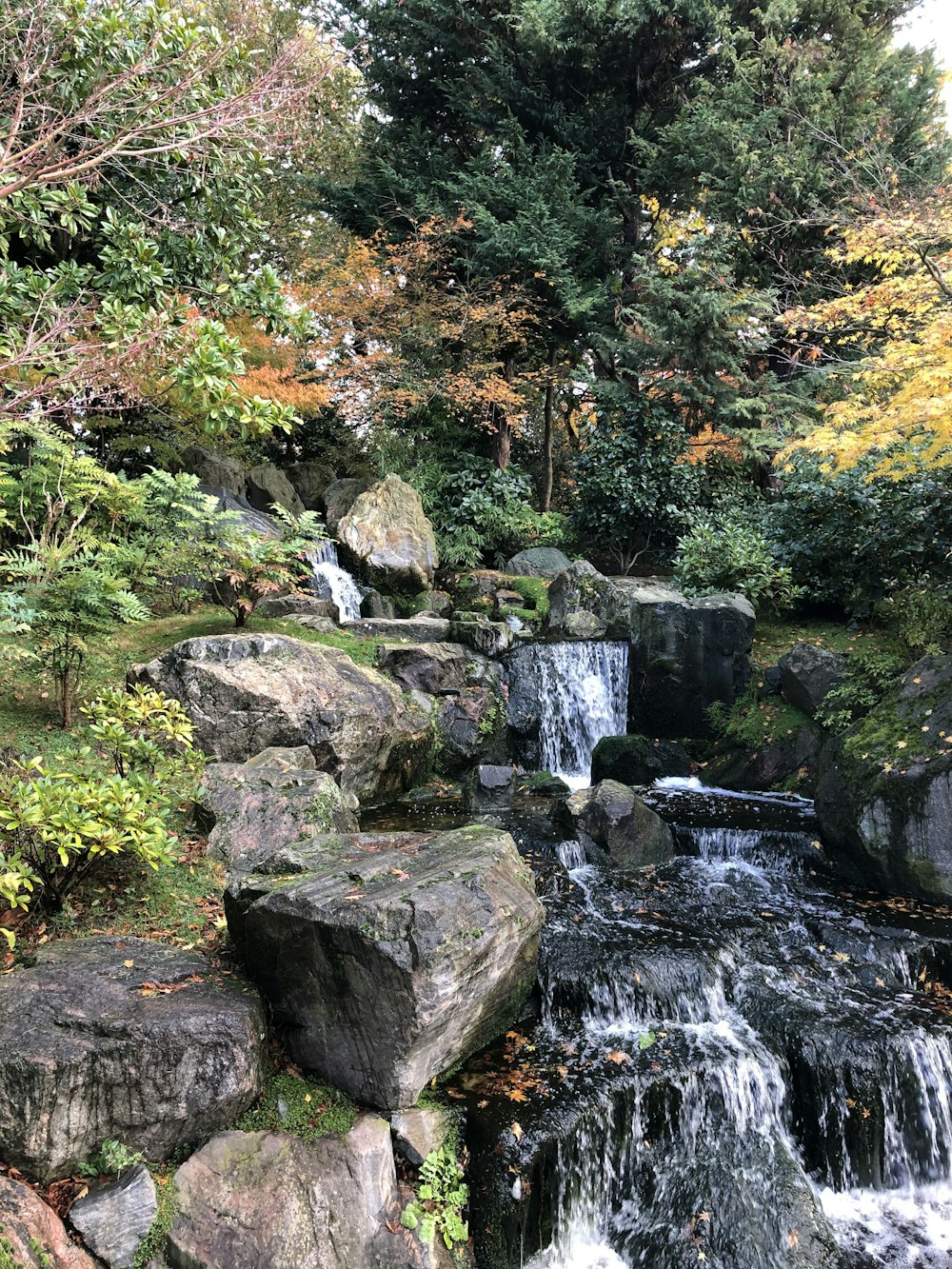 森の滝の風景