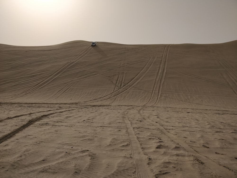 Paisaje de dunas de arena
