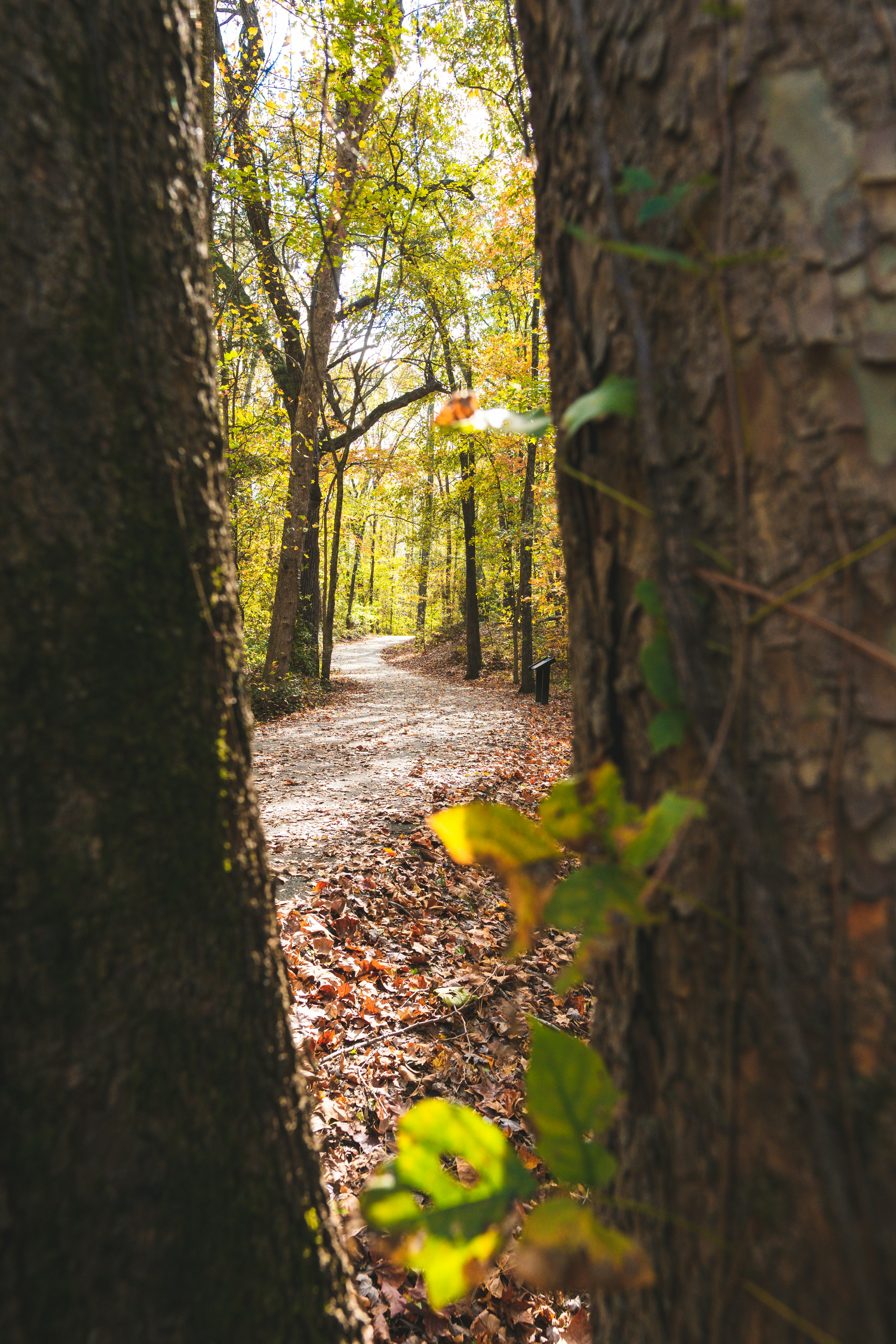 Photo by kingtographer