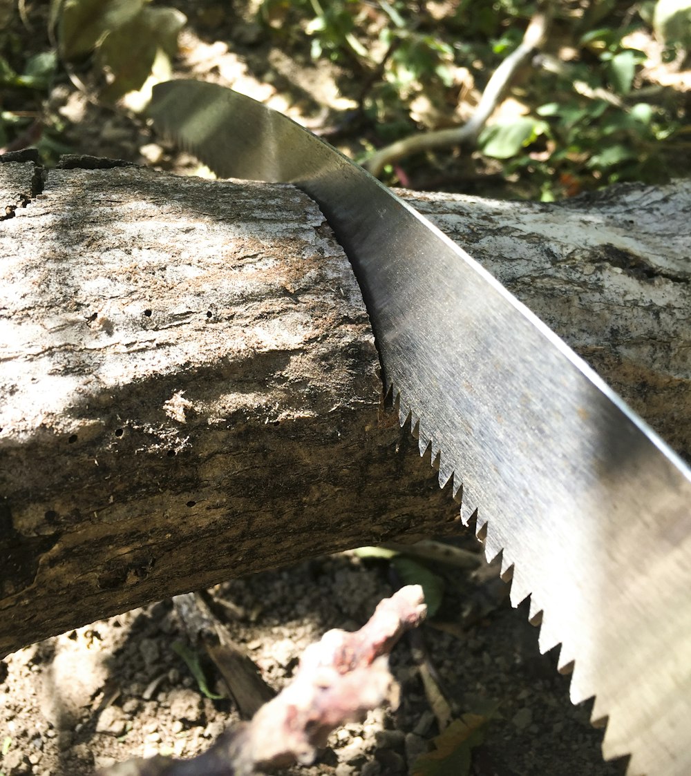 gray saw on log