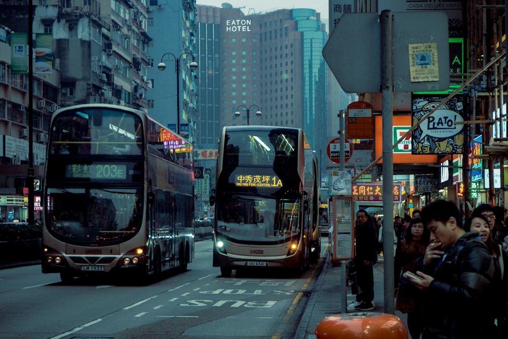 photo of transit buses