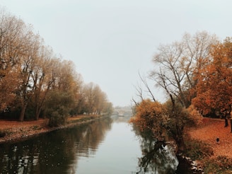 A serene riverbank framed by colorful autumn trees under a soft, overcast sky.