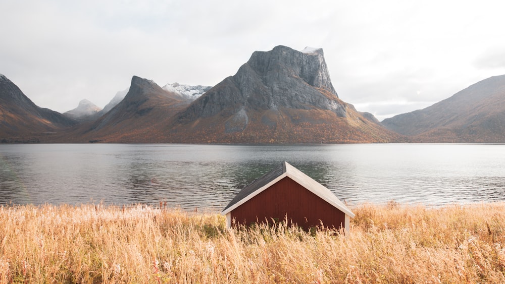 brown wooden shack beside body of water