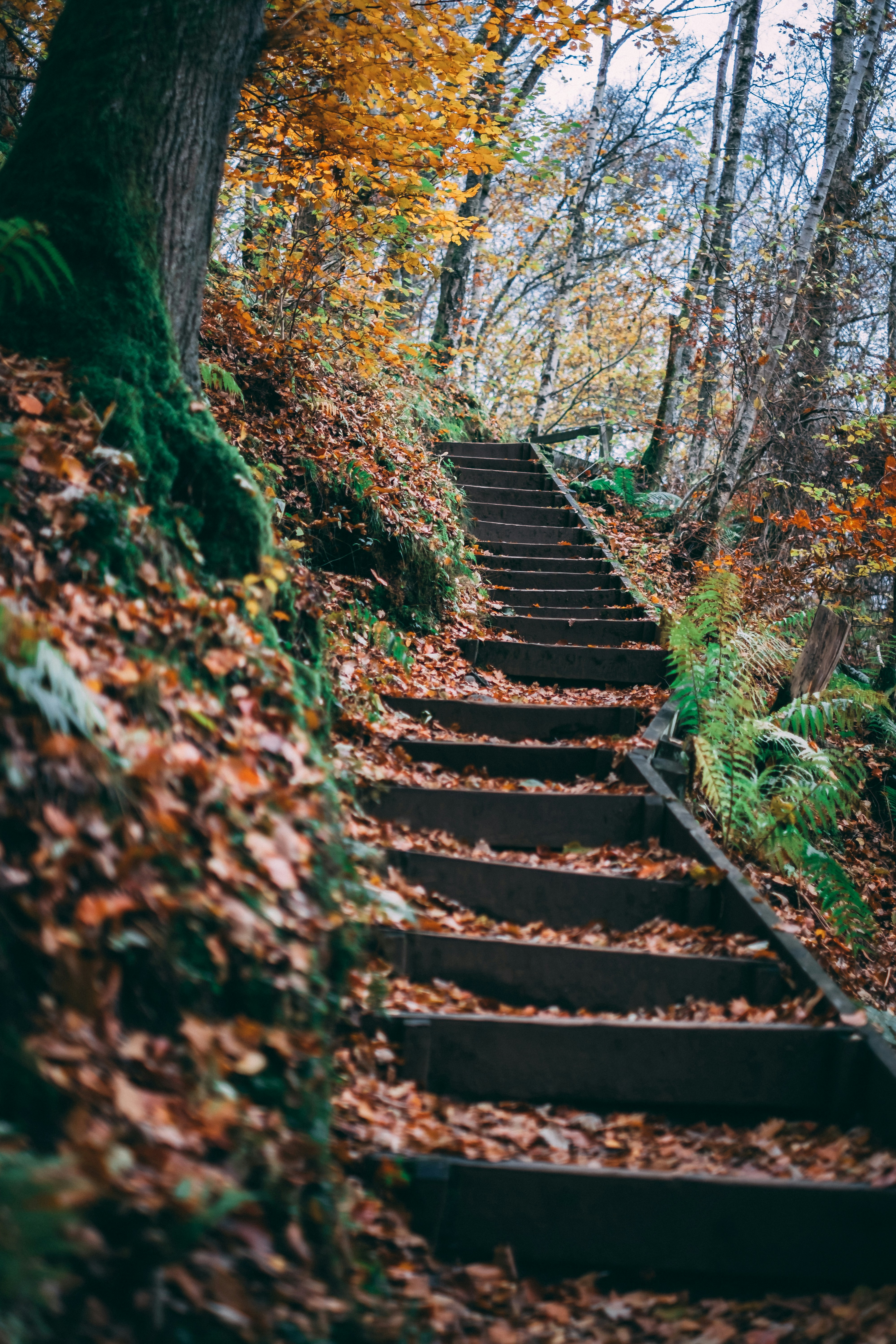 Photo by veedubsimon