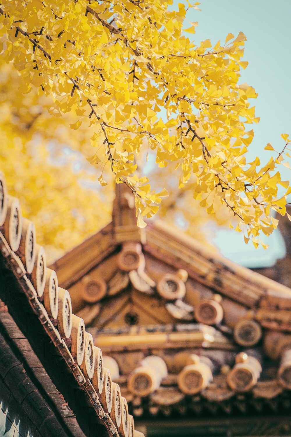 photo of brown ceramic roof