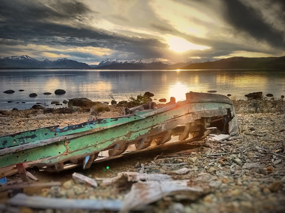 green wood on rocks near body of water