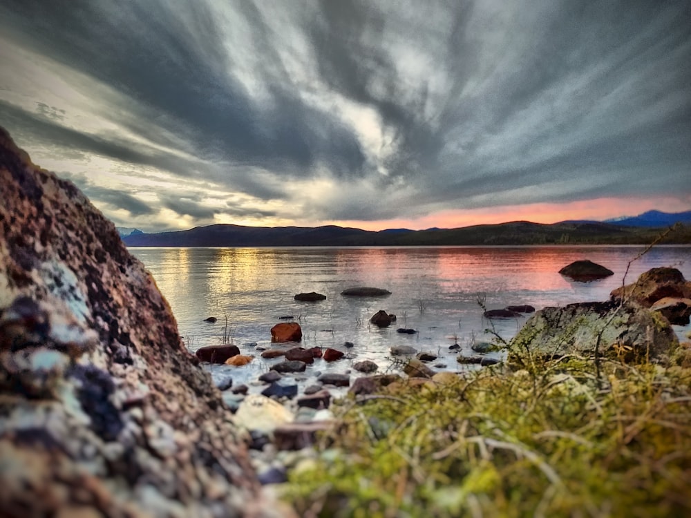 green grass beside calm body of water