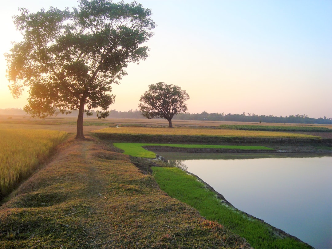 Natural landscape photo spot Keunda Brahmanbaria Sadar Upazila