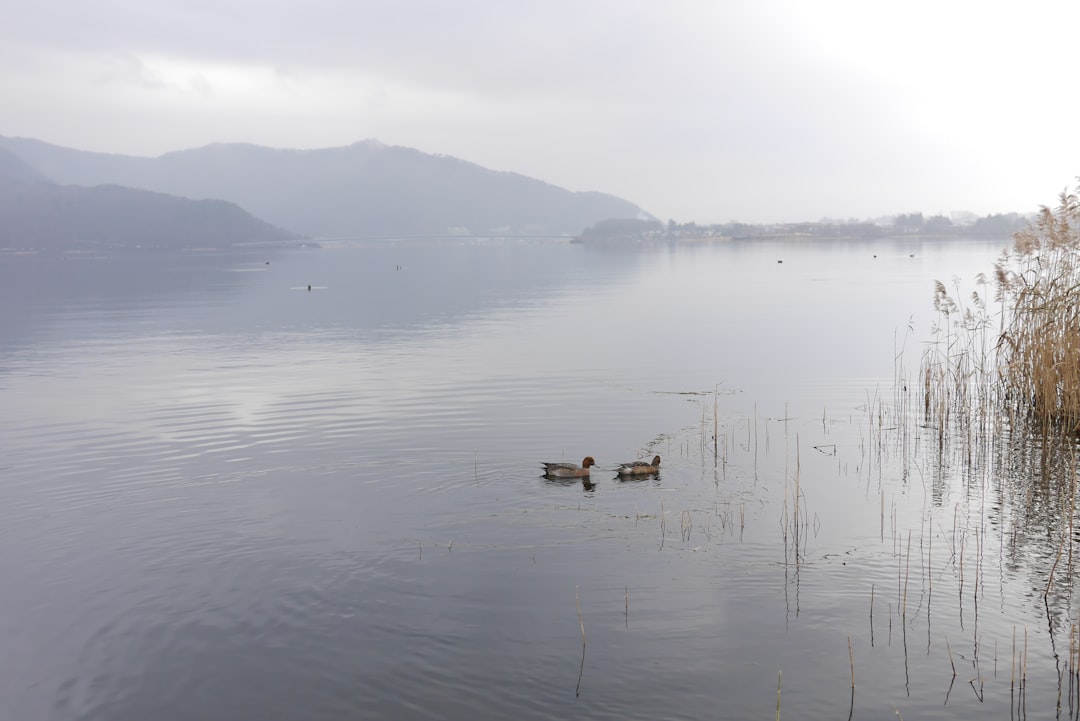 River photo spot Lake Kawaguchi Saitama