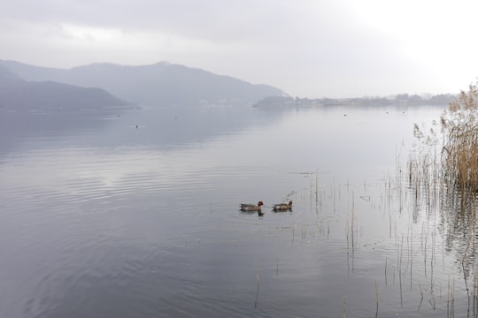 None in Lake Kawaguchi Japan