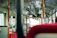 A friendly bus driver helping a passenger board the modern red Tuấn Em bus.