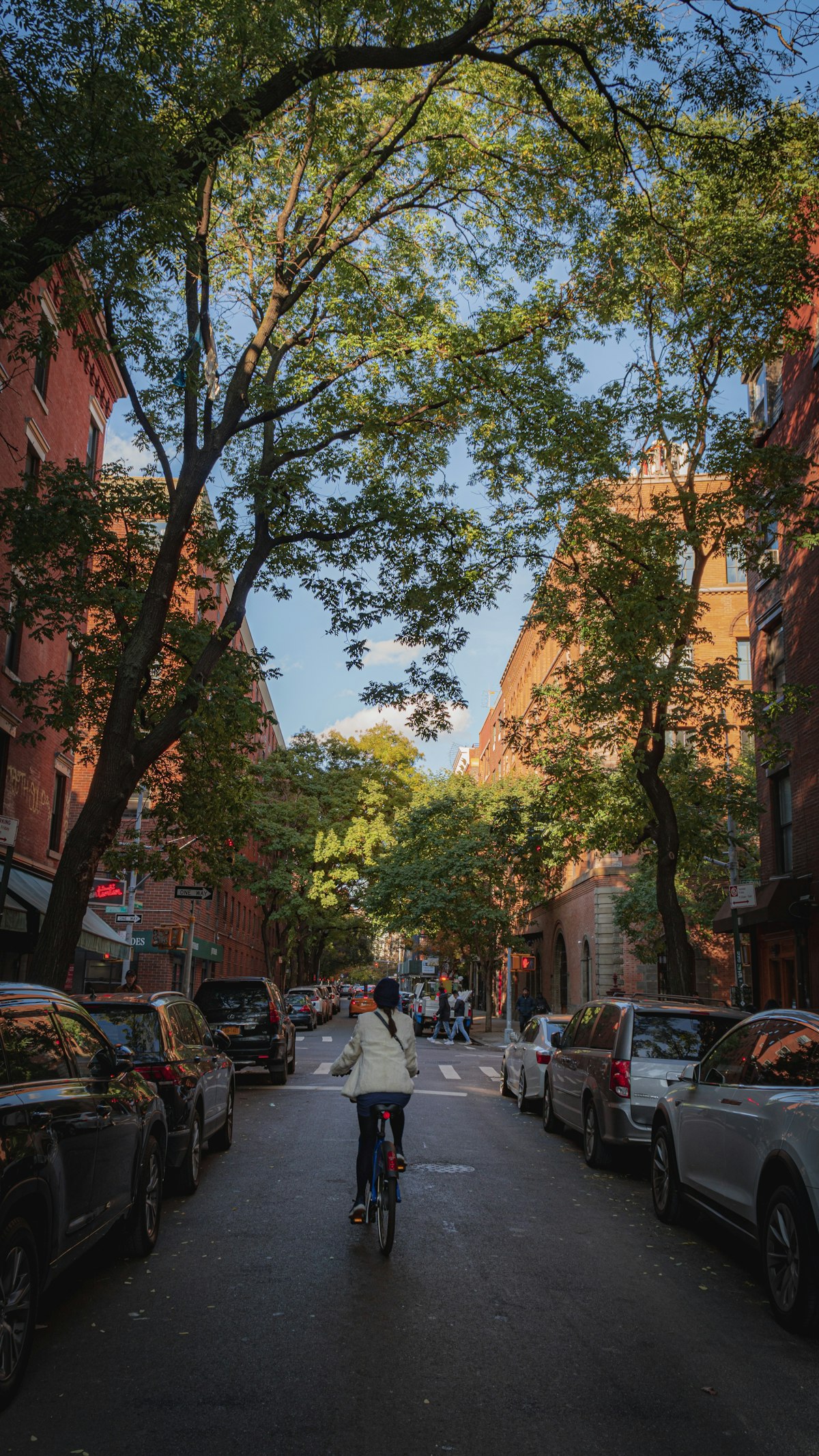Cyclist commuting down a tree-lined street past parked cars, anti-consumer-default register