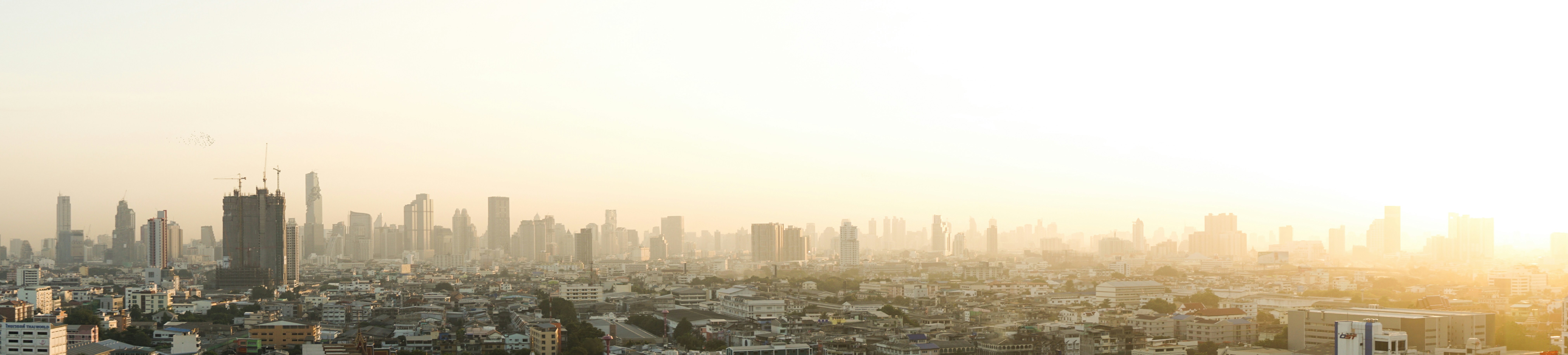 Photo by jobrofrombrussels