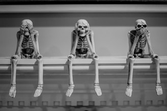skeleton on rack wallpaper