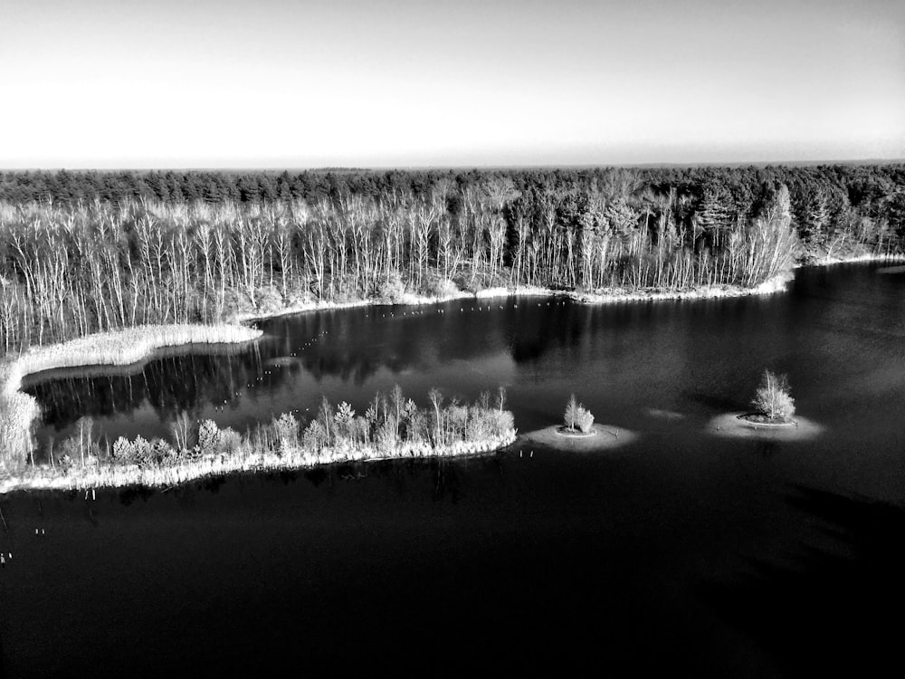 grayscale photography of snow covered trees beside body of water