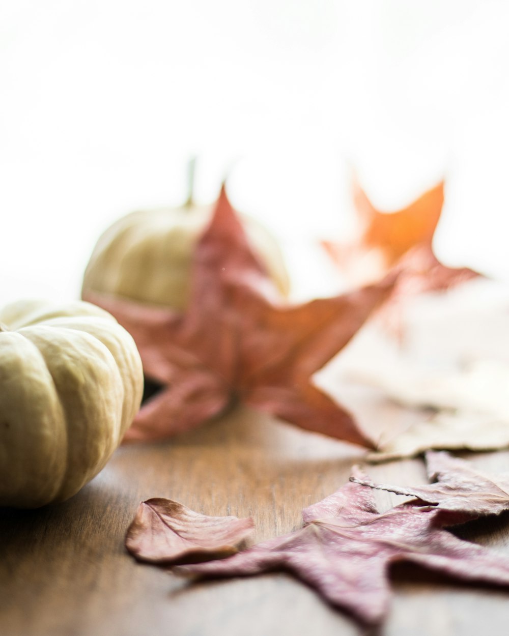 selective focus photography of fruits beside leaves