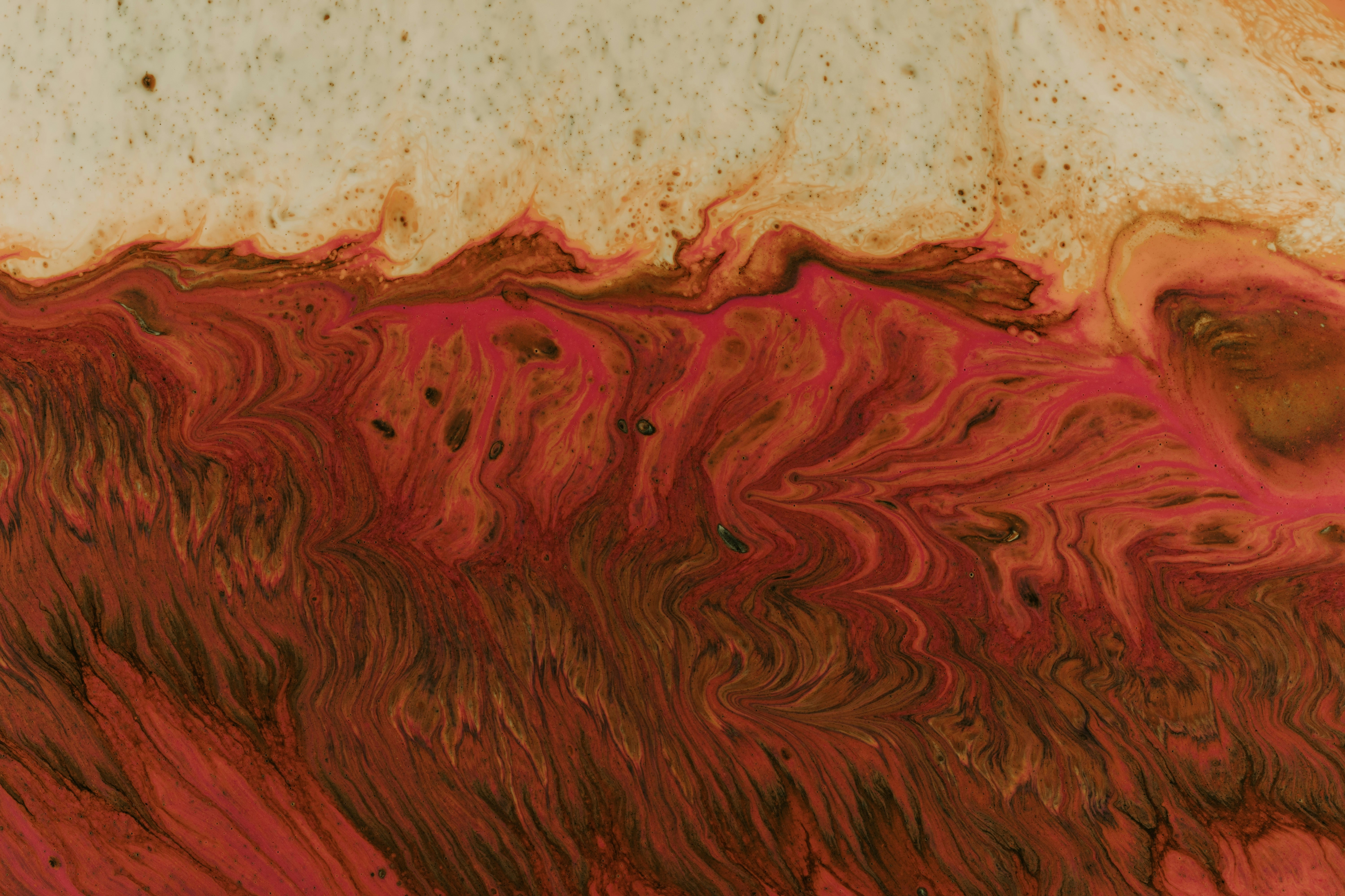 Photo by pawel_czerwinski