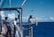 A group of researchers engaged in scientific exploration at the Nautilus Institute.