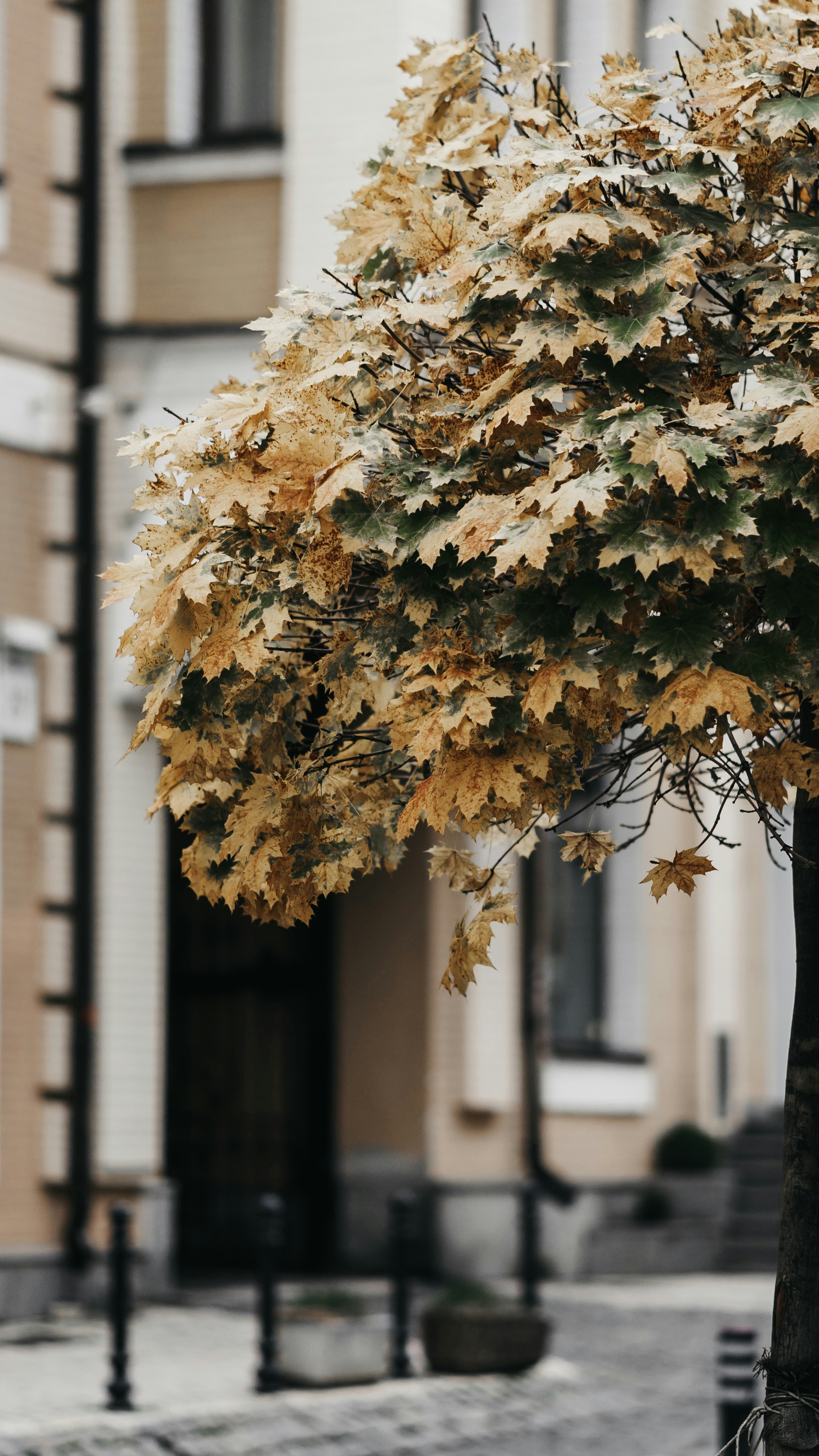 Photo by eugenechystiakov