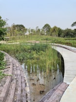 A lush green landscape features a gently winding pathway made of light-colored wood. The path curves alongside a pond with tall grasses and reeds growing around it. Surrounding the pond, stone steps create a terrace effect, leading up to a grassy hill dotted with trees in the background. The sky is clear and bright, adding to the serene atmosphere.