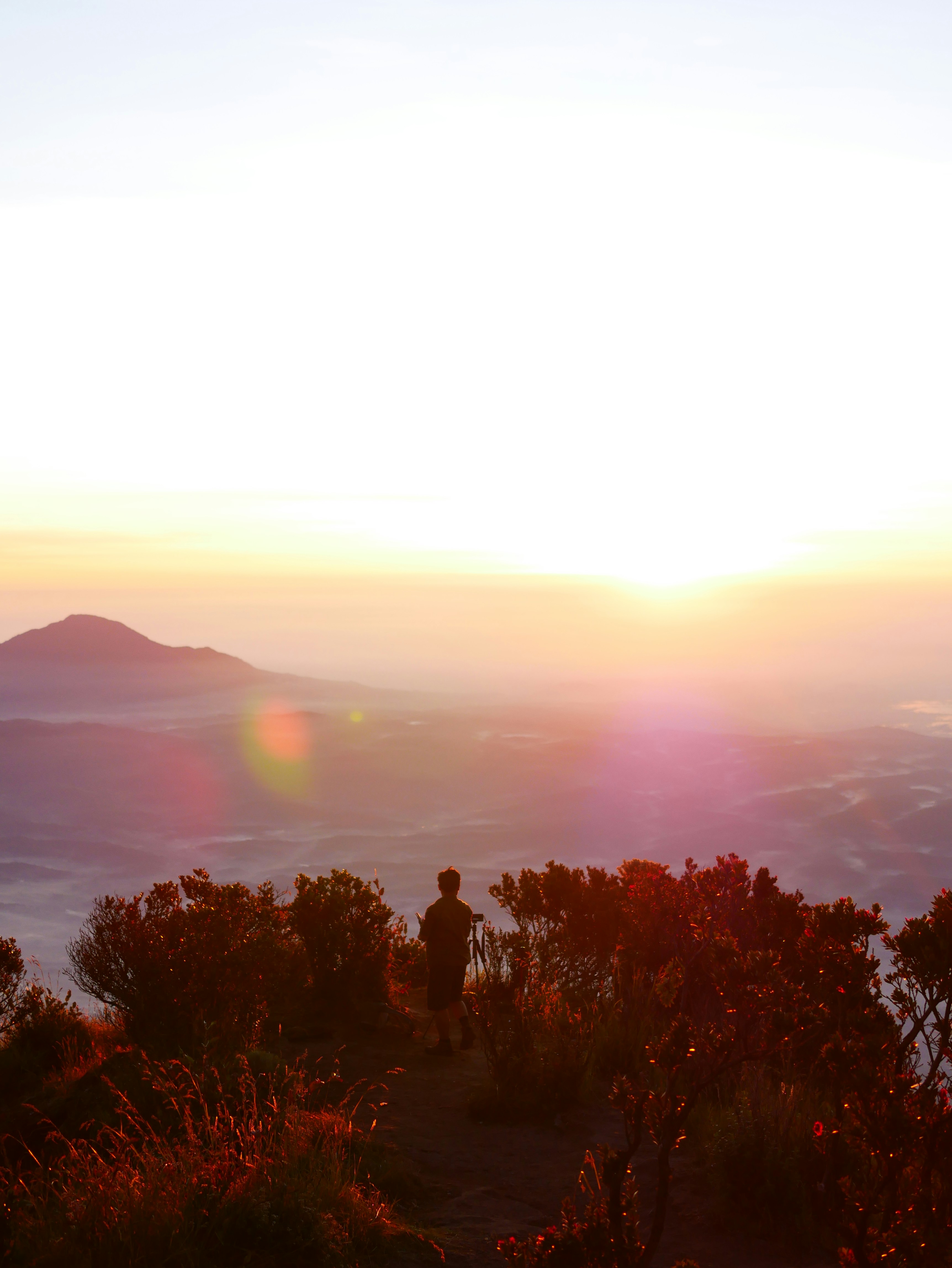 Photo by indonesiabertauhid