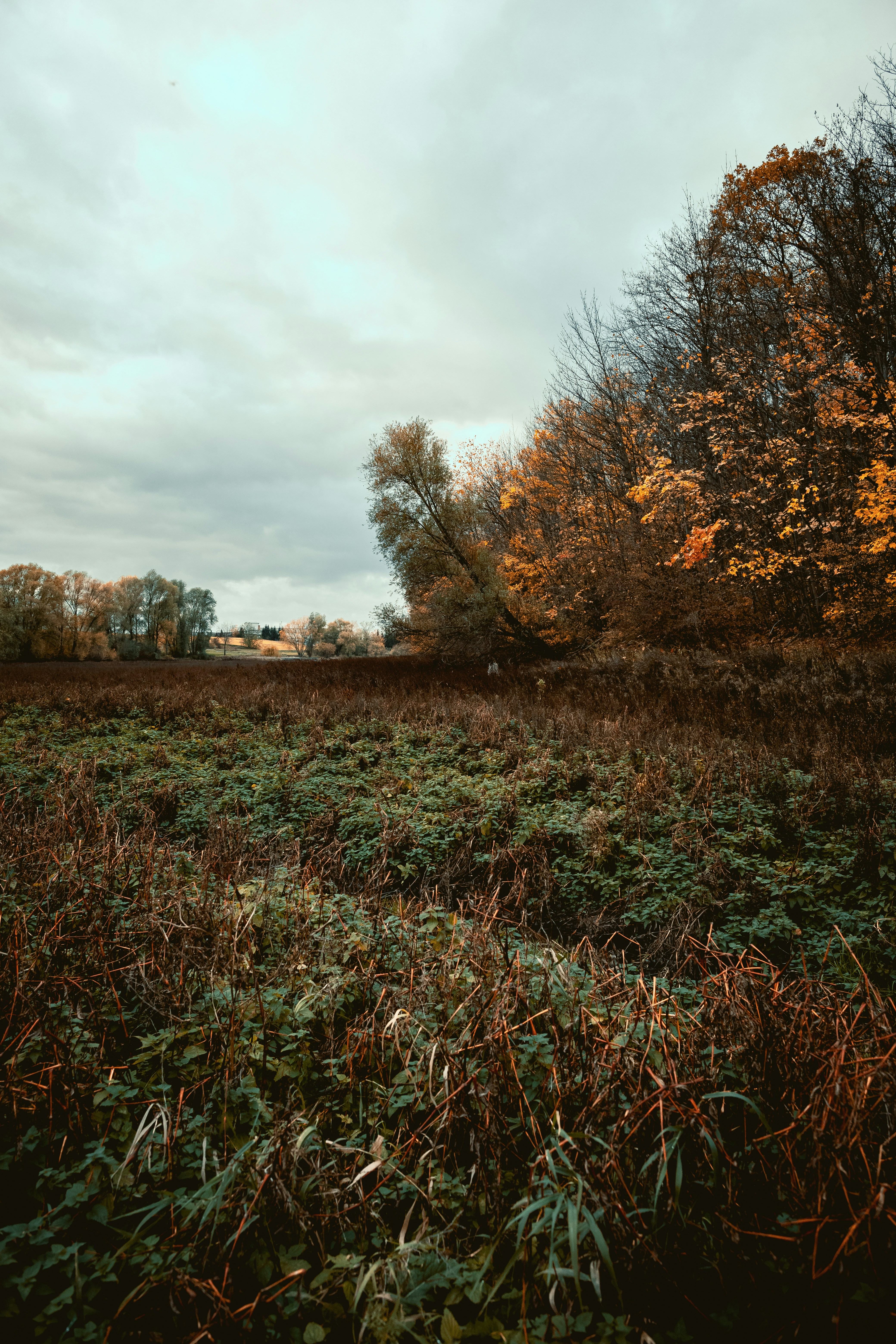 Photo by niklas_hamann