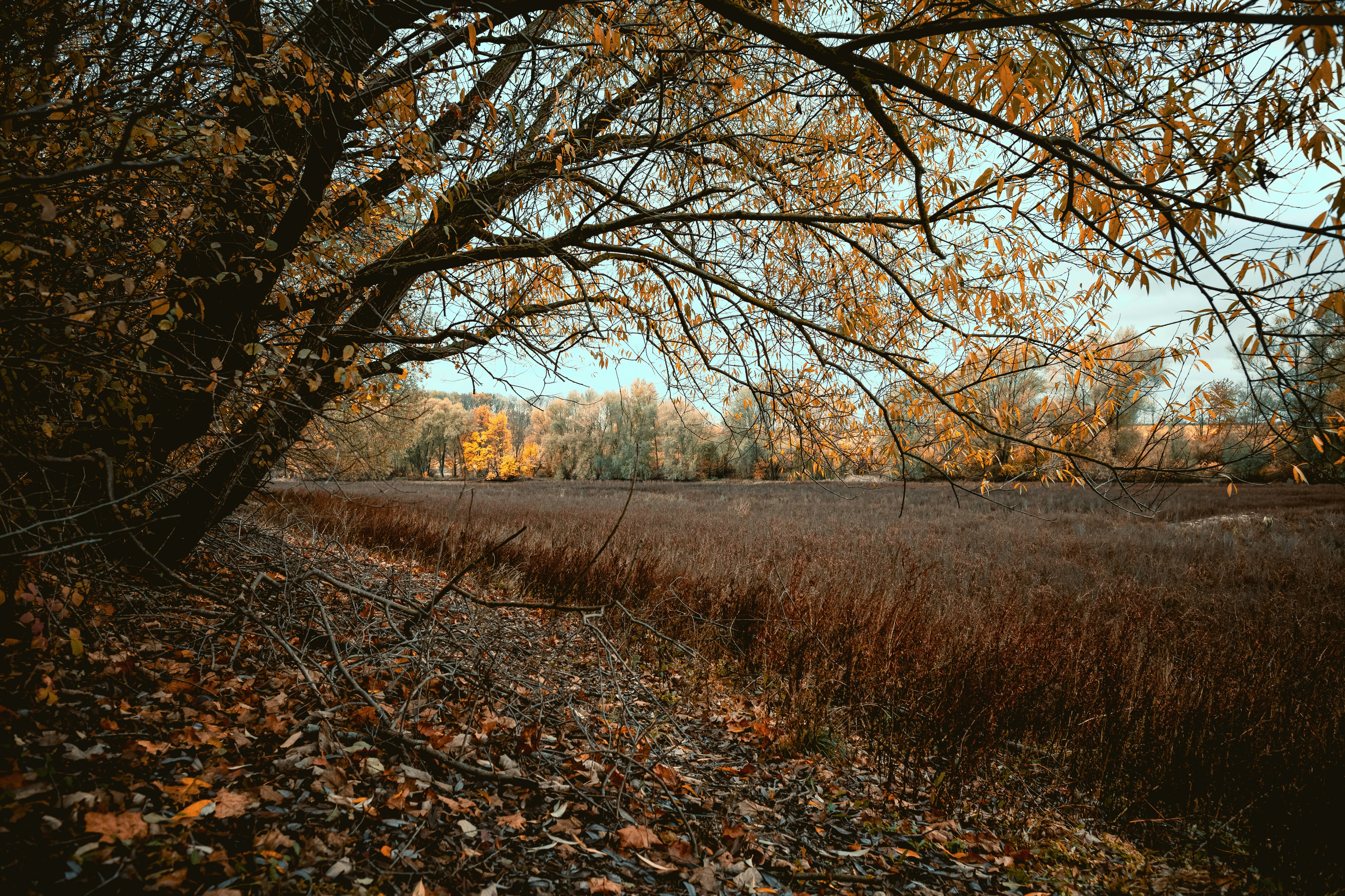 Photo by niklas_hamann