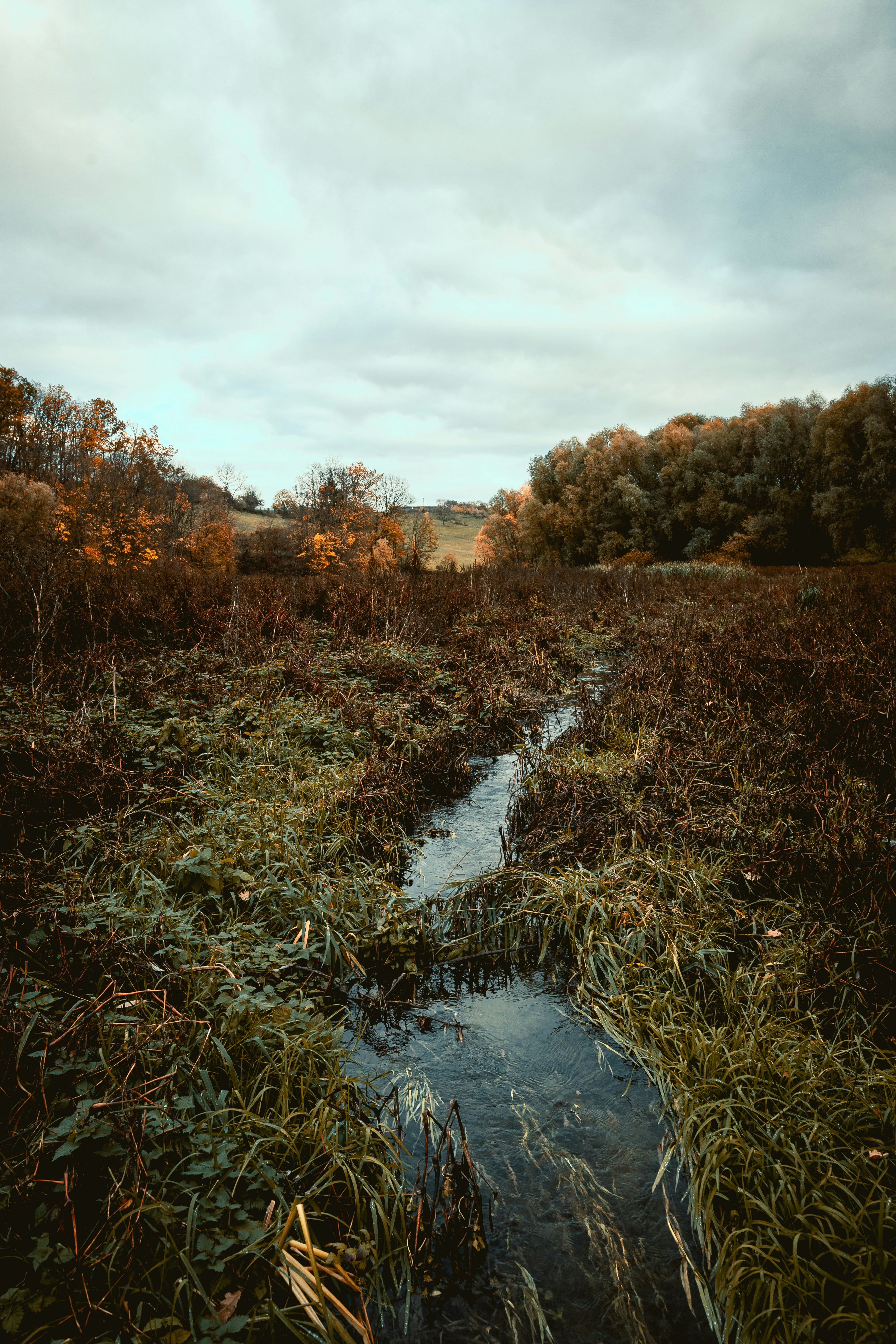 Photo by niklas_hamann