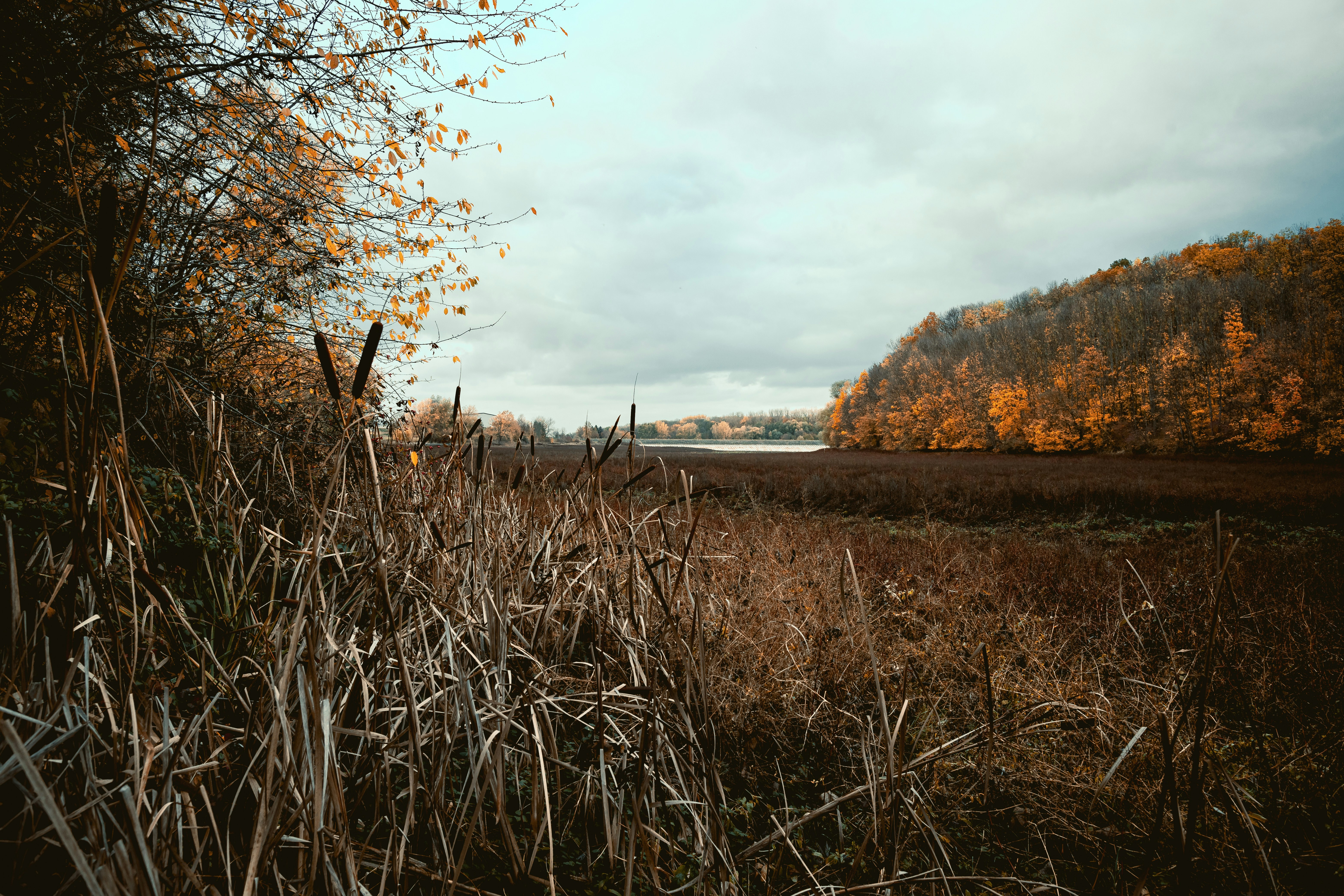 Photo by niklas_hamann