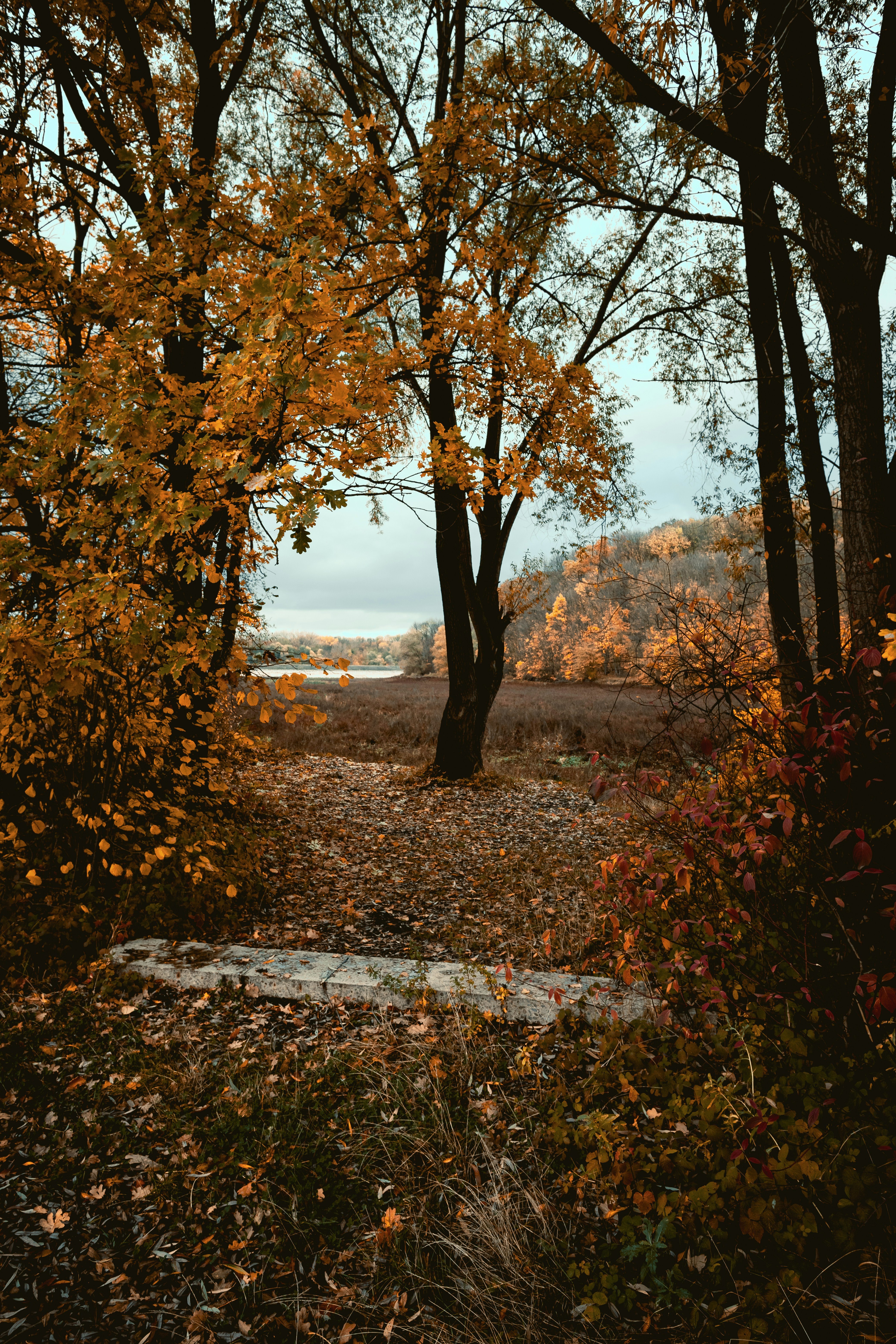 Photo by niklas_hamann