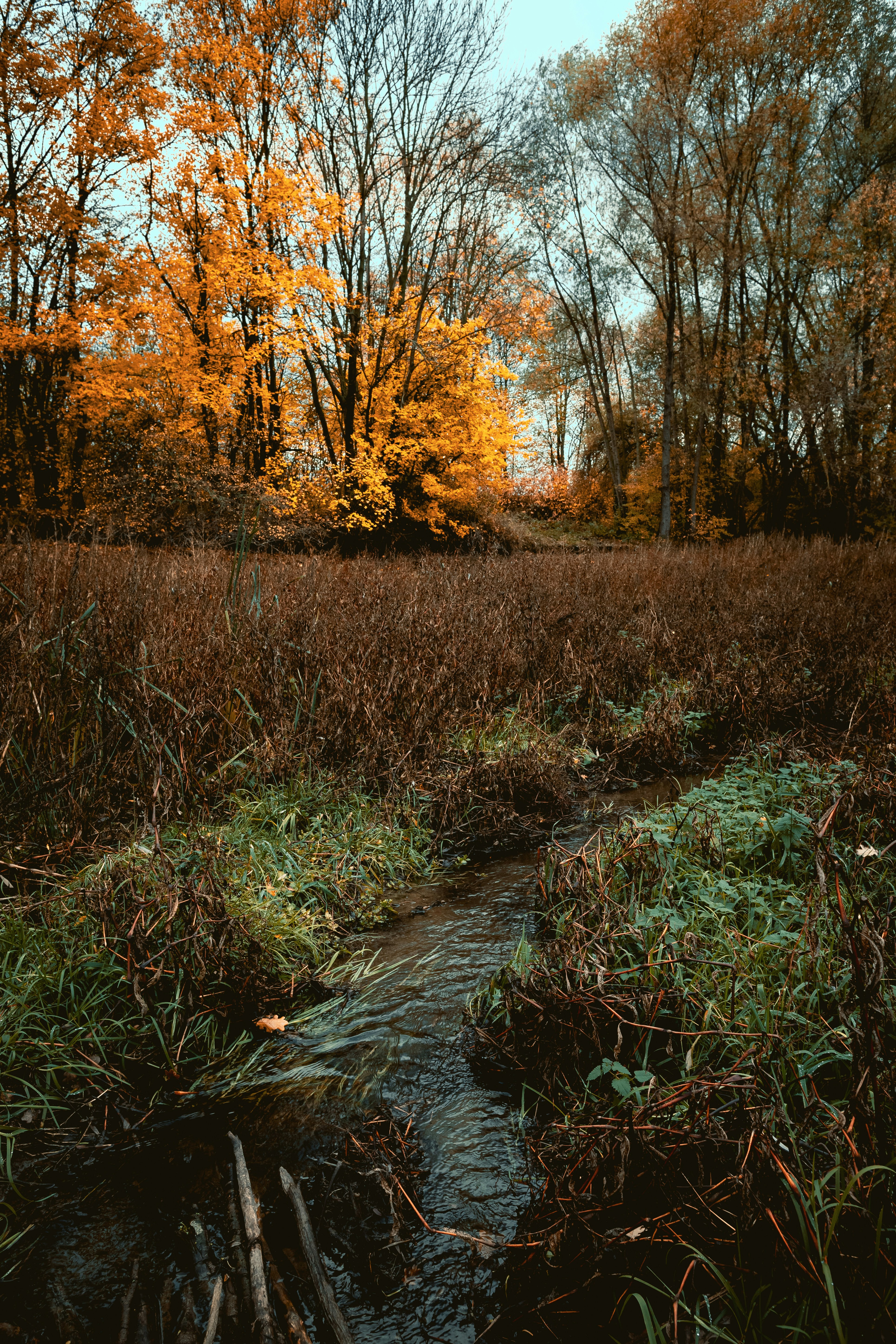 Photo by niklas_hamann