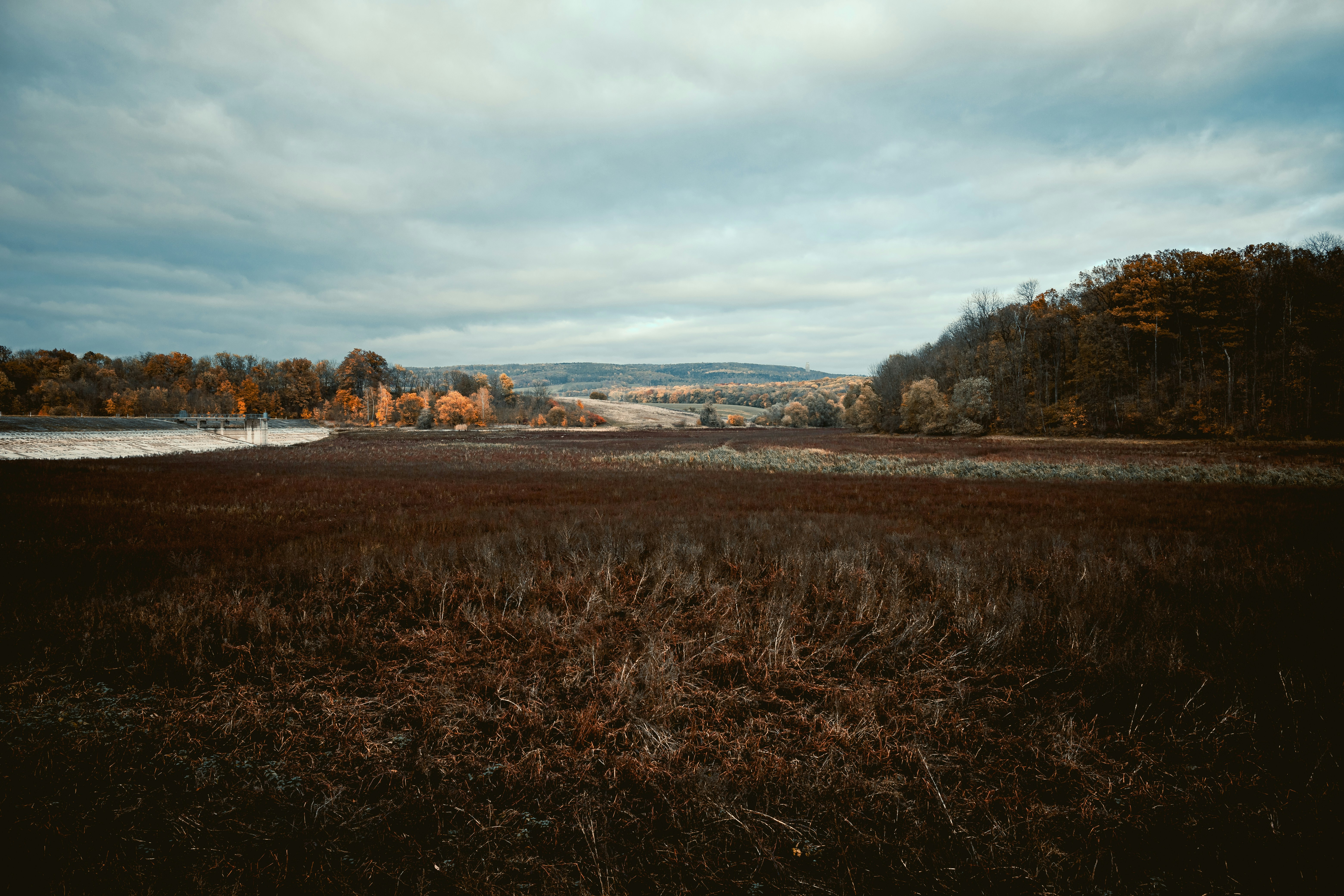 Photo by niklas_hamann